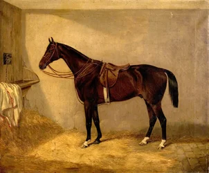 Portret van het paard dat toebehoorde aan majoor Burton bij de Balaclava Charge